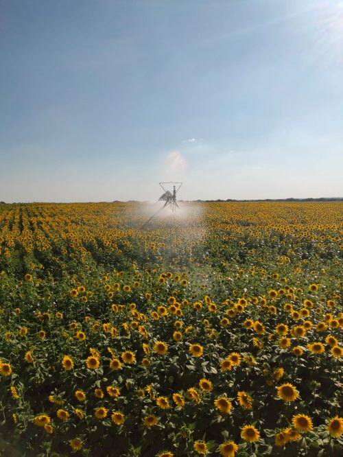 WhatsApp Image 2023-11-26 at 14.37.06 (1)